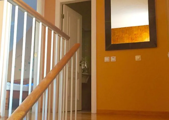 Palasta Premium Ryga