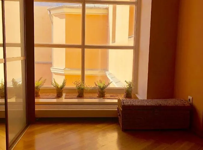 Palasta Premium Apartament *