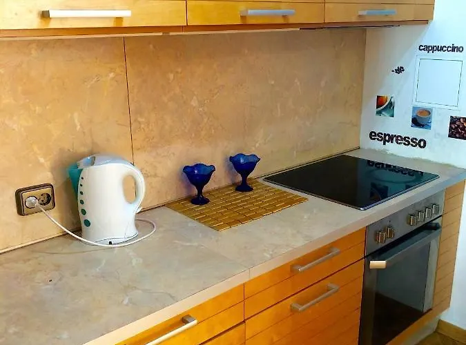 Apartament Palasta Premium *