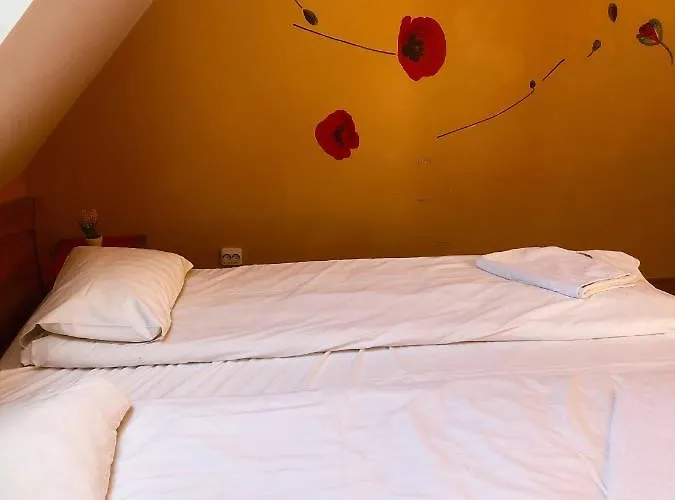 Apartament Palasta Premium