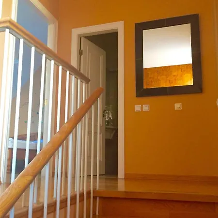 Palasta Premium ريغا